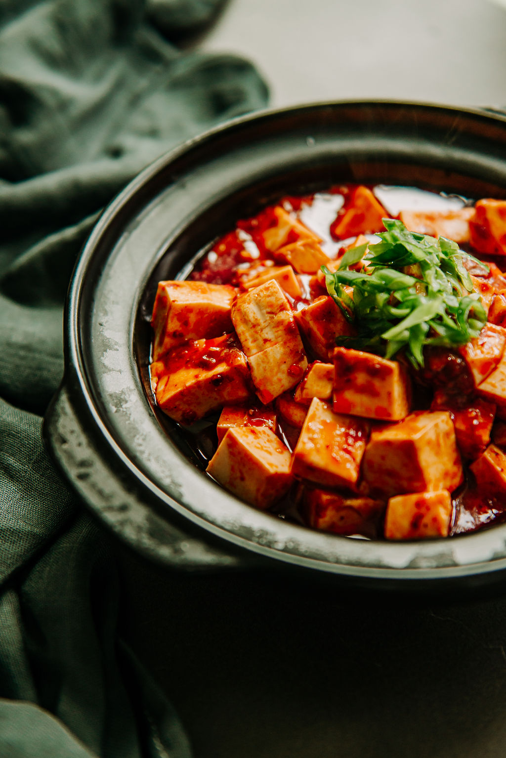 Mapo Tofu